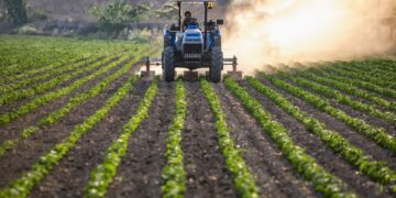 Tarım Bakanı çiftçilere 11.6 milyar TL ödemeyi duyurdu!